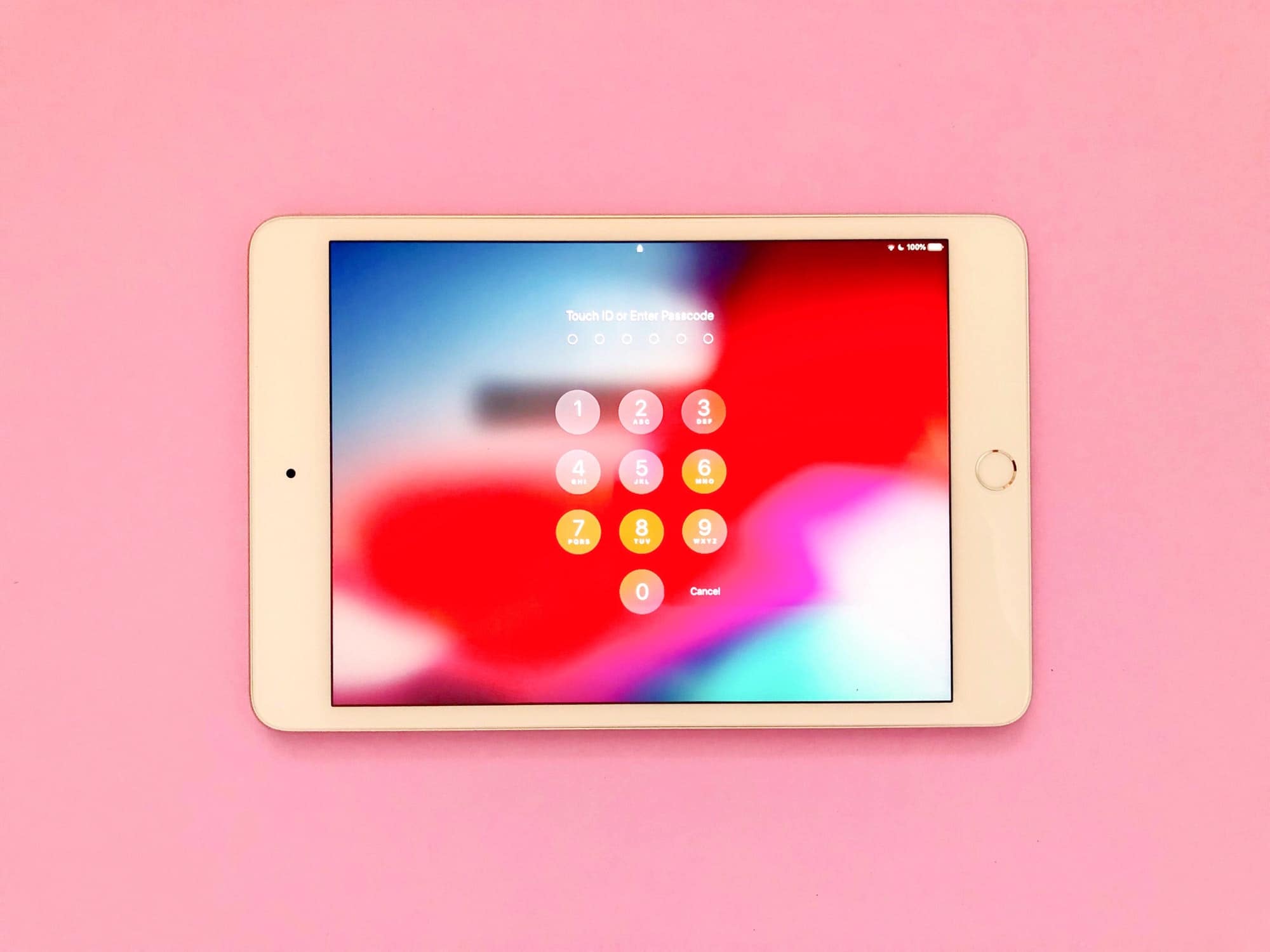 iPad password
